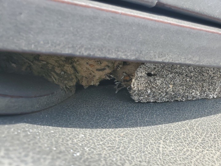 棟内部の漆喰剥離