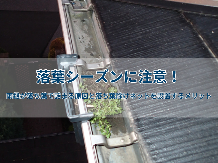 【漫画】落葉シーズンに注意！雨樋が落ち葉で詰まる原因と落ち葉除けネットを設置するメリット