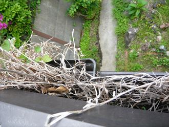 千葉市緑区で雨樋の詰まりの問い合わせが増えています