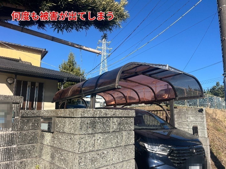 何度も被害が出てしまう