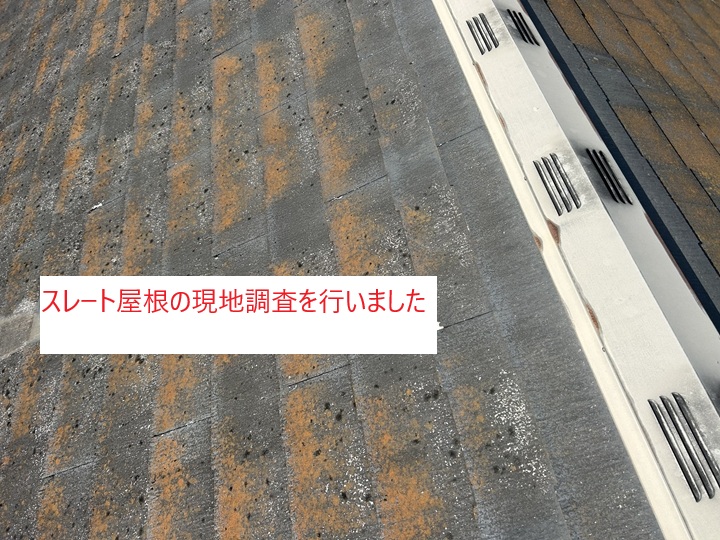 スレート屋根の現地調査を実施しました