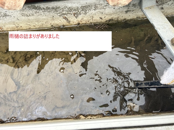 雨樋調査の様子