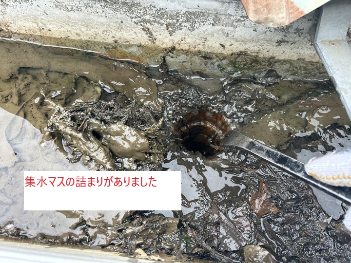 集水マスの詰まり