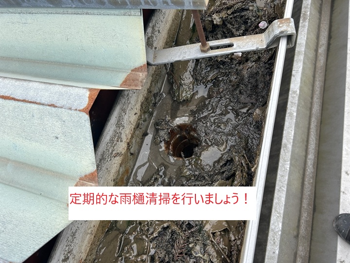 雨樋清掃の実施と提案