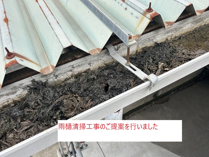 雨樋清掃工事のご提案