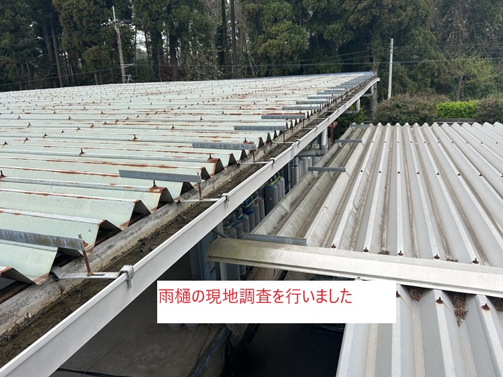 雨樋調査の全景