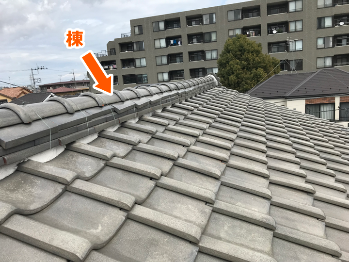 瓦屋根の棟