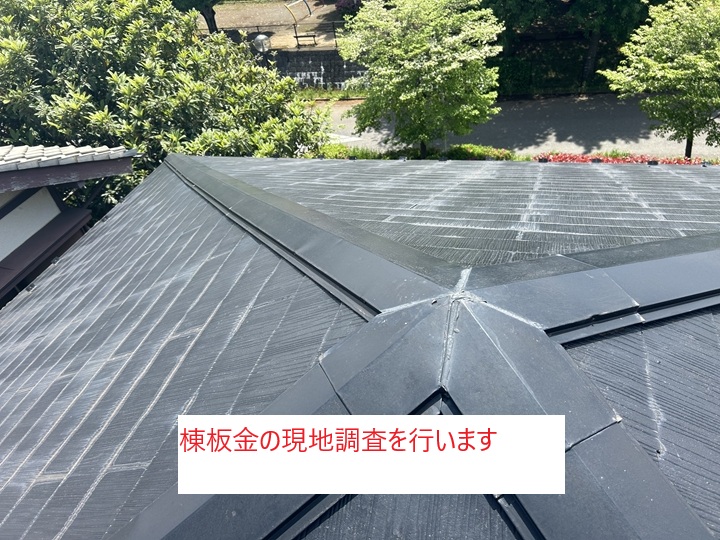 現地調査の様子