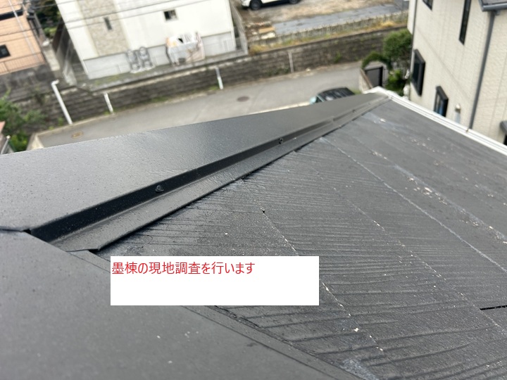 墨棟の調査結果