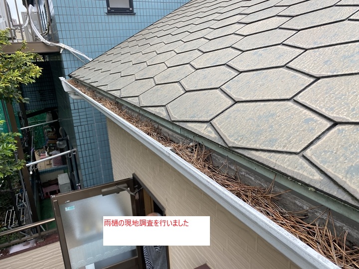 現地調査で判明した雨樋の詰まり