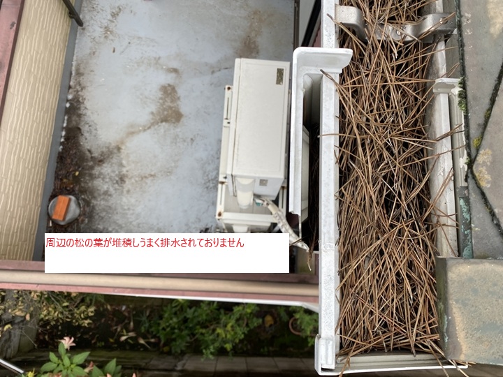 雨樋に溜まった松葉と排水不良の状態