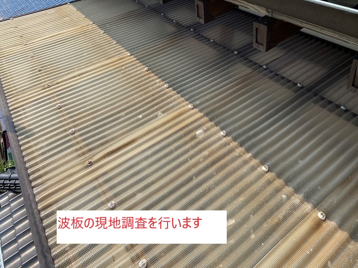波板の現地調査