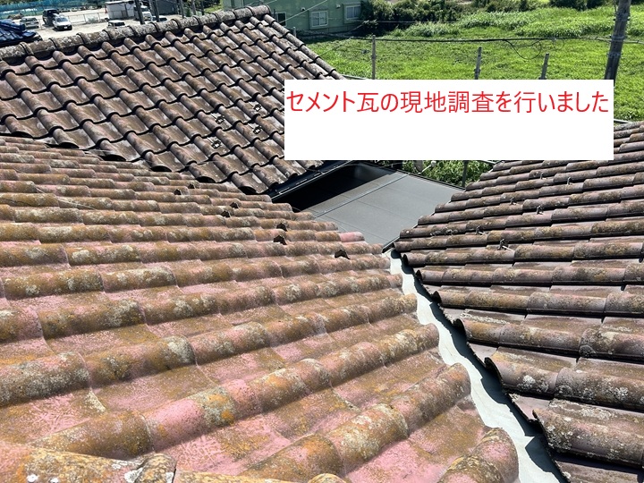 現地調査の様子