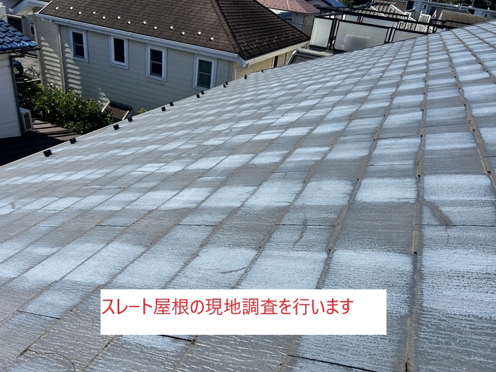 コロニアルネオの特徴と劣化症状