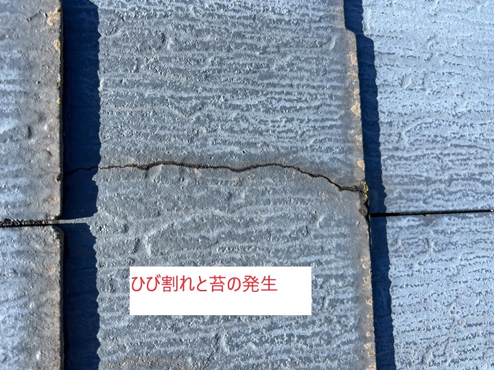 現地調査の様子