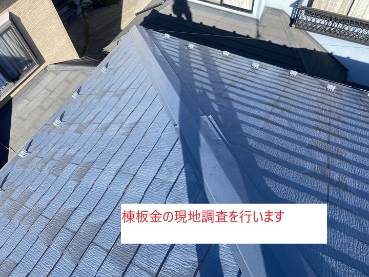 現地調査