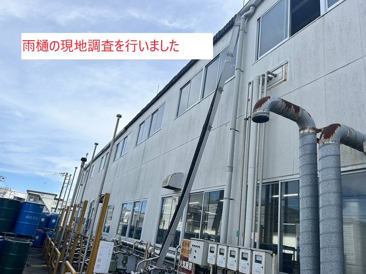 現地調査の実施