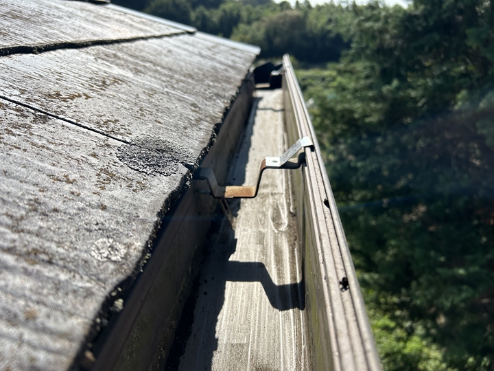 雨樋清掃完了