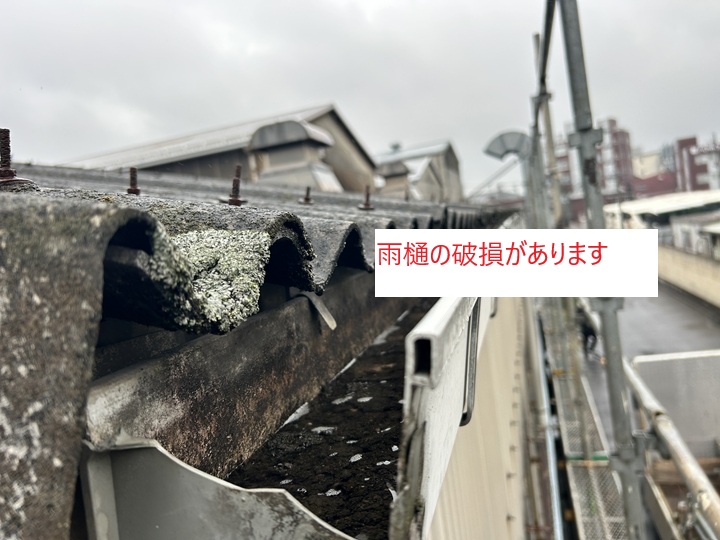 現地調査の結果：雨樋の破損と詰まりを確認