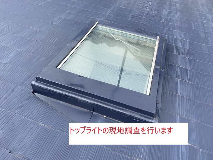 現地調査の実施