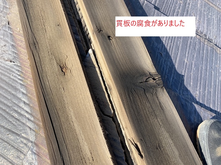 貫板にも腐食を発見