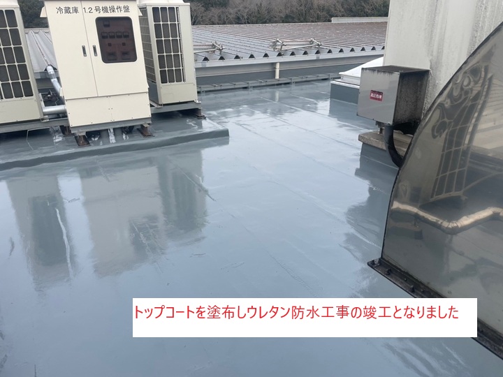 ウレタン防水工事(密着工法)で屋上の防水性能を回復|市川市菅野の施工事例
