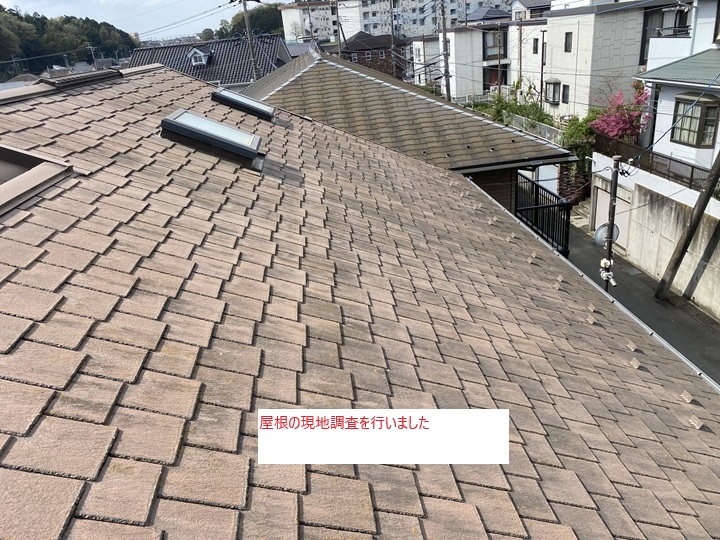 屋根現地調査の様子