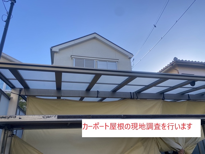 現地調査の様子