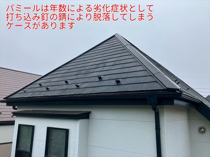 パミール屋根の調査
