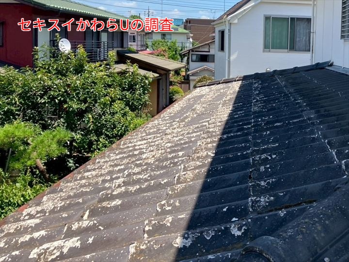 セキスイかわらUの調査の様子