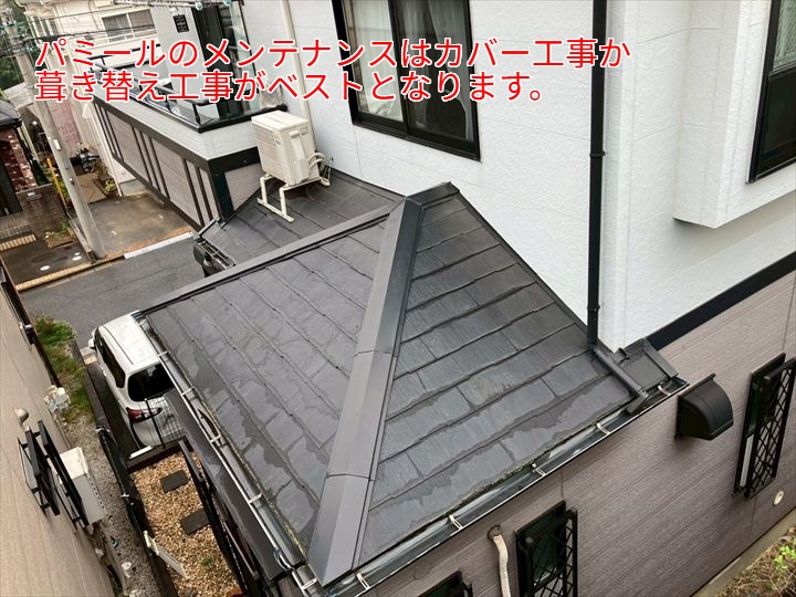 パミール屋根の調査