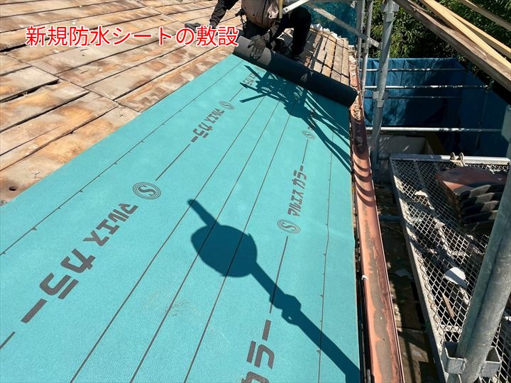 新しい防水シートの敷設