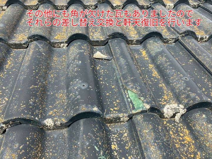 屋根全体を点検したところ、破損瓦のほかにも、角が欠けた瓦や表面にコケが広がっている箇所も見つかりました。 このような細かな欠けでも、長期的に雨水の侵入リスクを高めるため、差し替え交換を行う必要があります。