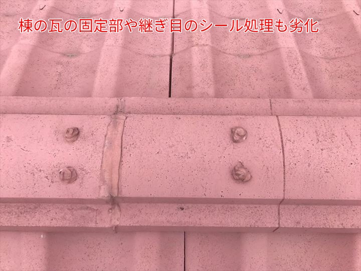 棟の瓦の固定部や継ぎ目のシール処理も劣化