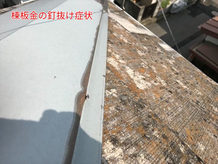 棟板金の釘抜け