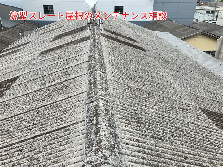 波型スレート屋根のメンテナンス相談