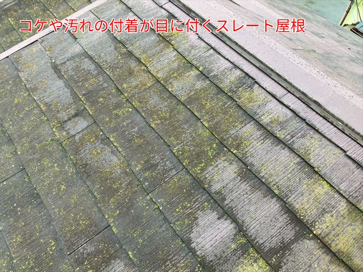 コケや汚れの付着が目に付くスレート屋根
