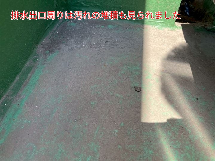 排水出口周りは汚れの堆積も見られました