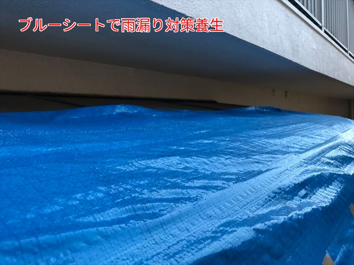 ブルーシートで雨漏り対策養生