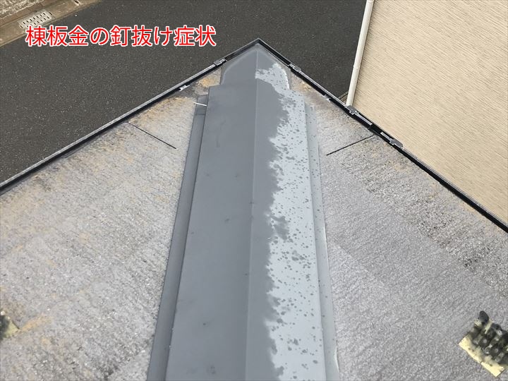 棟板金の釘抜け症状