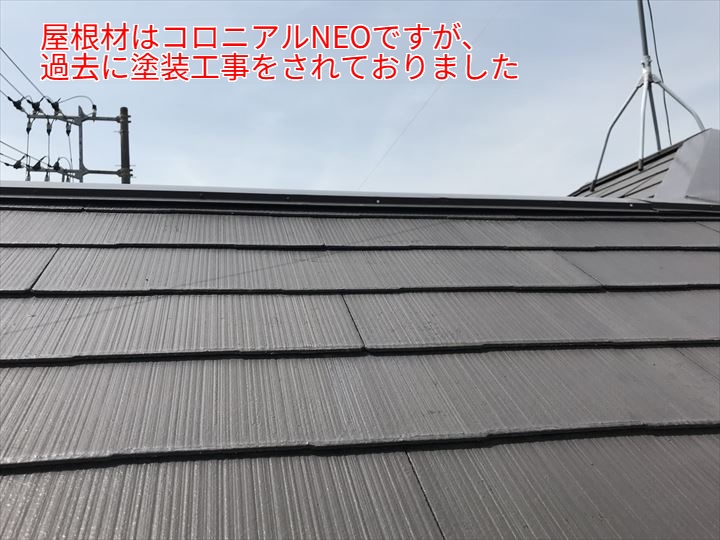 コロニアルNEOの調査