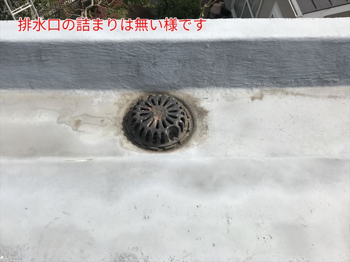 排水溝の状況確認