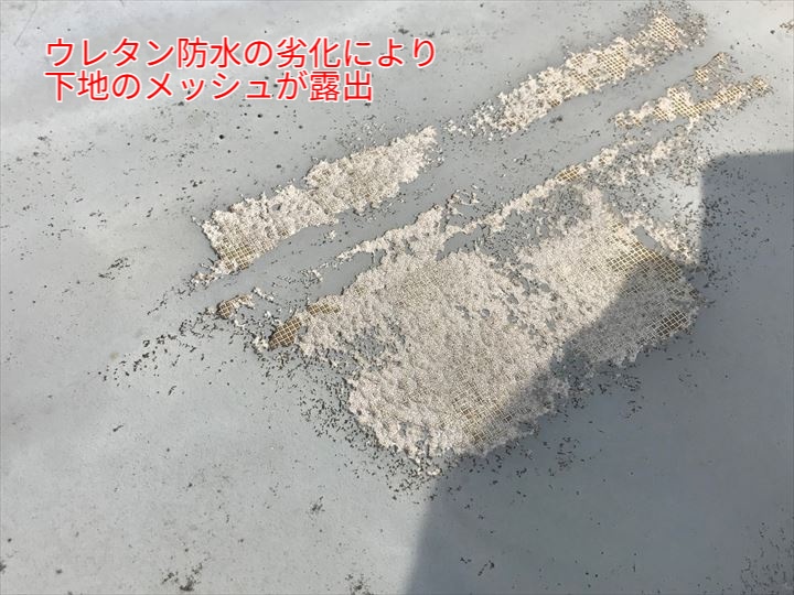 ウレタン防水の劣化により下地のメッシュが露出