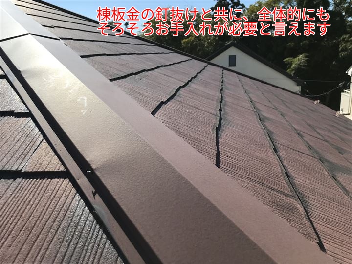 全体のお手入れが必要な状態