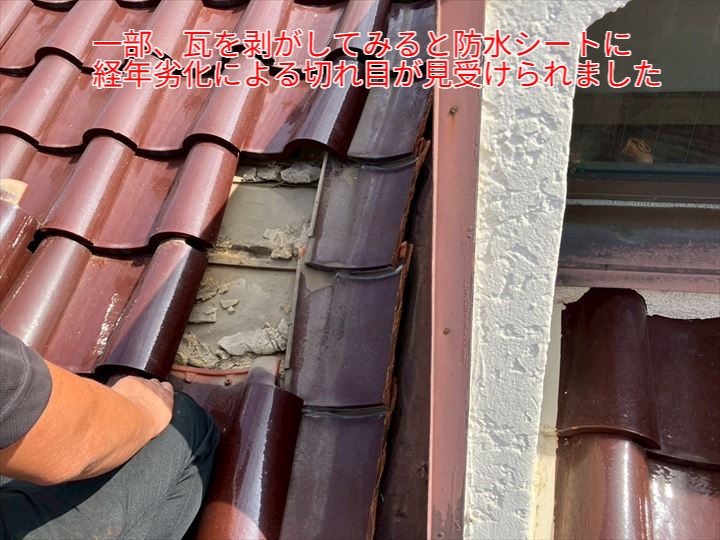 瓦を剥がして防水シートに切れ目が見られた