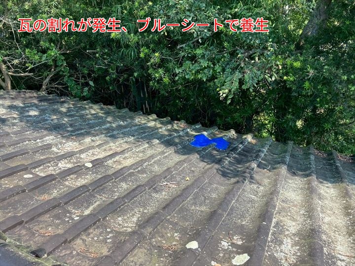 瓦の割れが発生、ブルーシートで養生