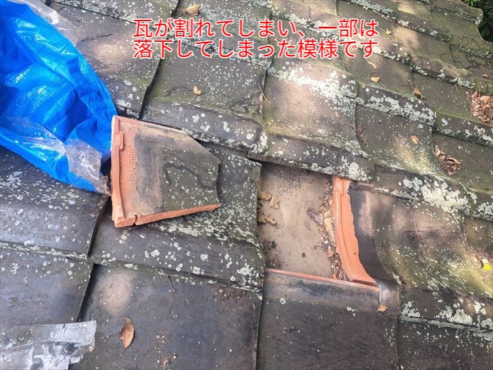 瓦が割れてしまい、一部は落下してしまった様子です