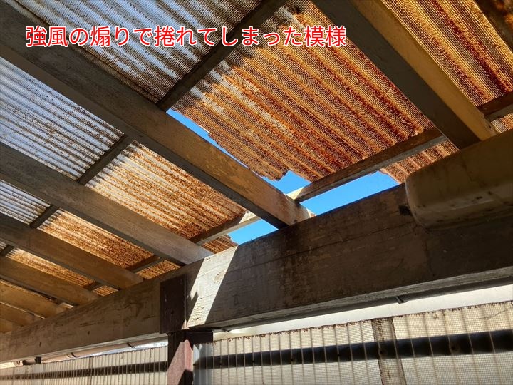 強風の煽りで捲れてしまった様子