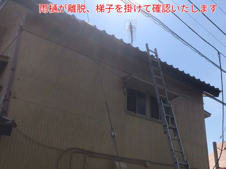 梯子を掛けて調査を実施