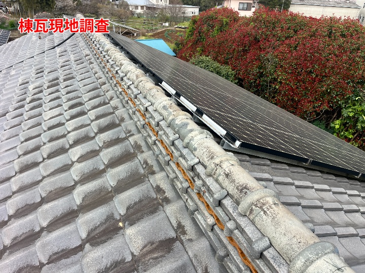 棟瓦全体の状態を確認
